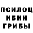 Галлюциногенные грибы Psilocybine cubensis Bekbolsun Tajanov