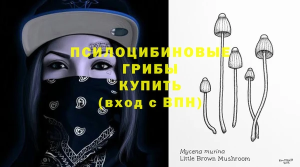 mix Алексеевка