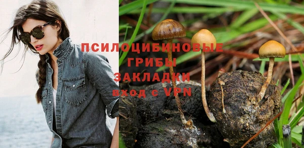 меф Алексин