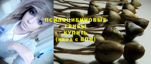 mix Алексеевка