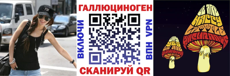 Псилоцибиновые грибы Psilocybe Краснокамск