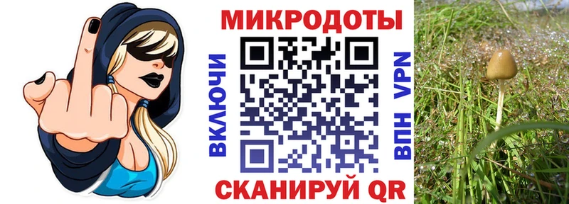 Галлюциногенные грибы Psilocybine cubensis  Краснокамск 