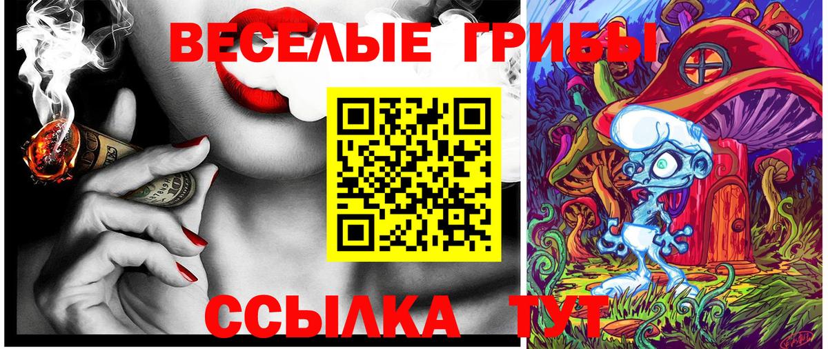 Краснокамск  купить  цена  Вход с VPN  Псилоцибиновые грибы MAGIC MUSHROOMS 