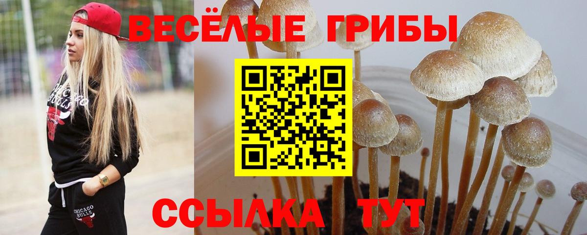 Галлюциногенные грибы мухоморы Краснокамск